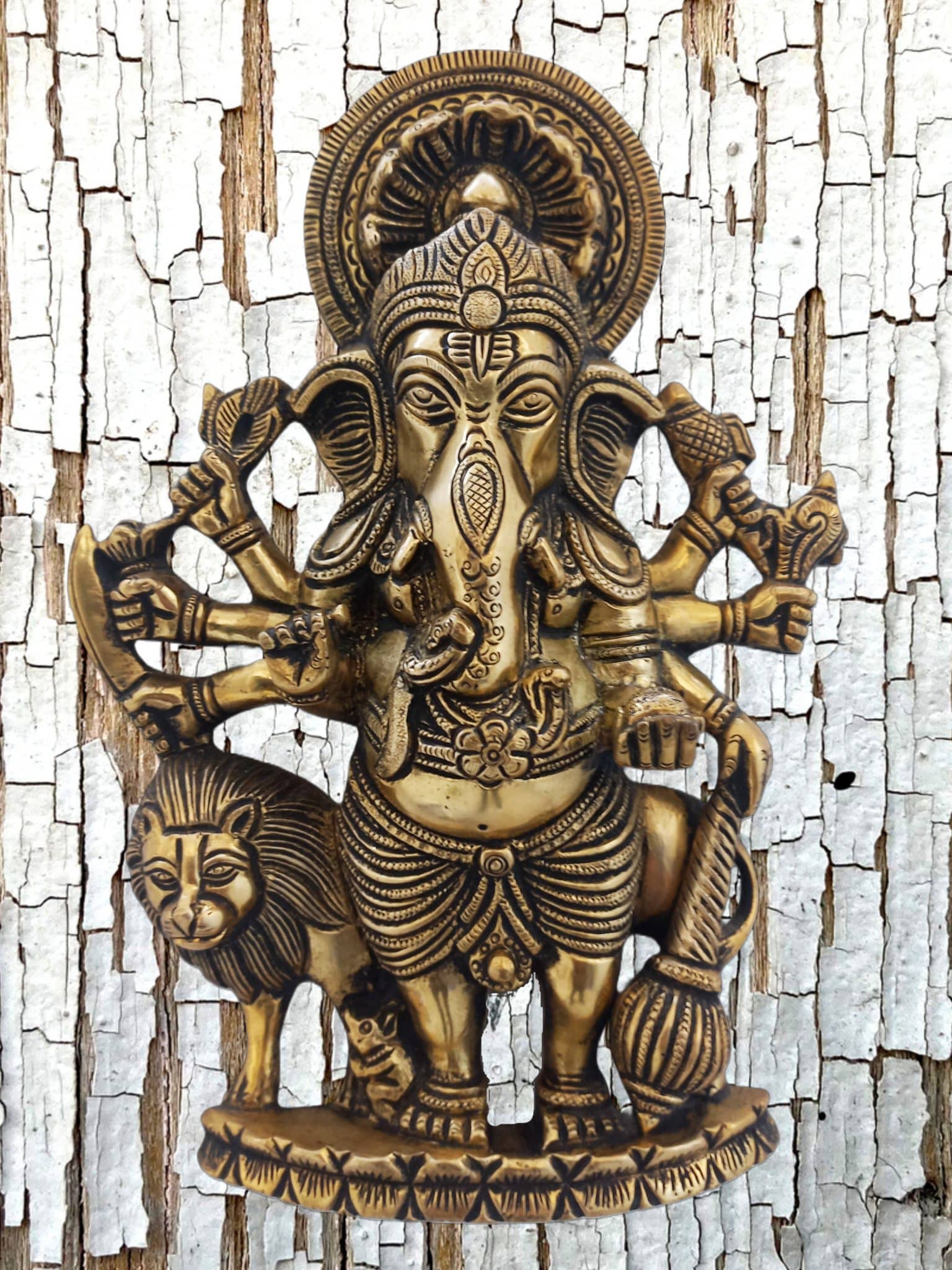 Leo Ganesha Speaks - 13clblb